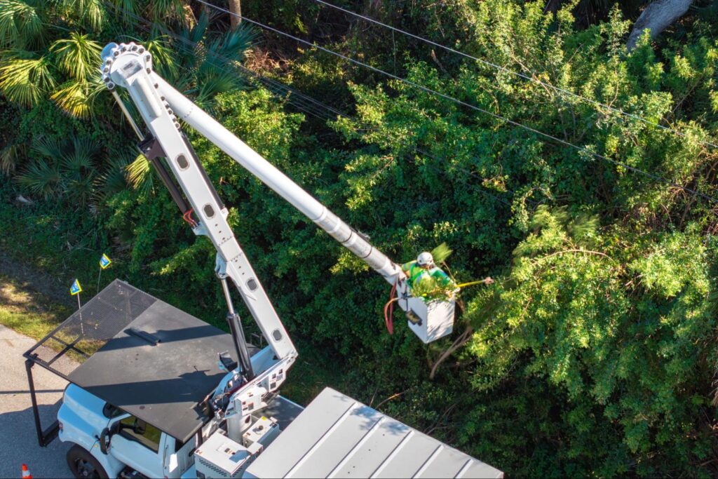 Electricity outage prevention. Electrician worker trimming tree around power lines.