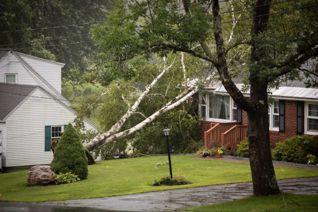 Fallen tree on house.