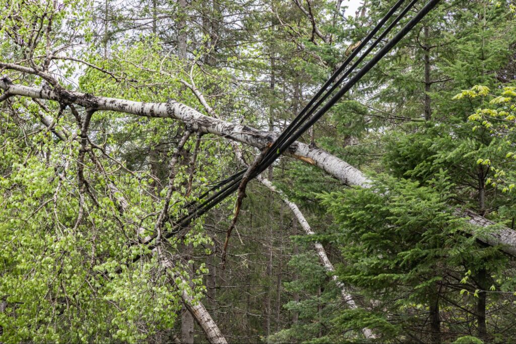 Mother nature causes major disruption and power outages in rural communities as trees are uprooted and bring down overhead power lines during storm.