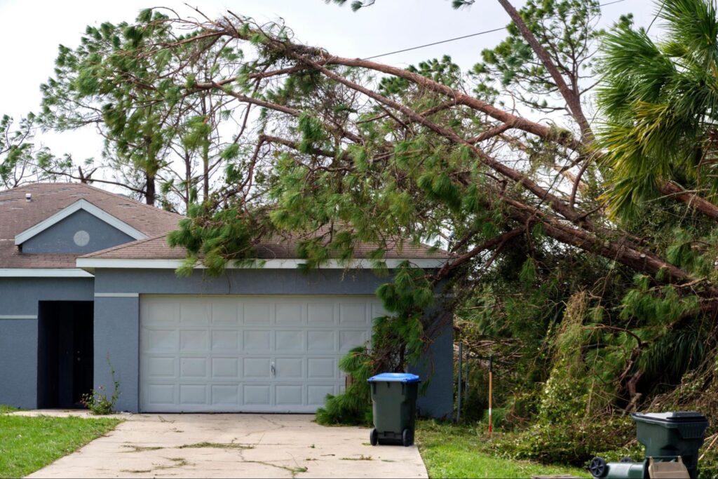 Fallen down big tree on a house after hurricane.