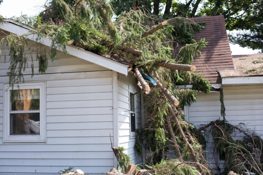 Roof damage from tree that fell over during hurricane storm.