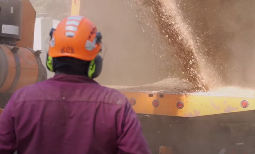 worker watching a wood chipper