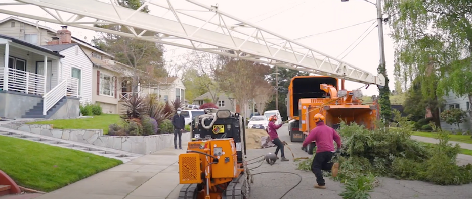 Tree Services Vallejo | Julian Tree Care