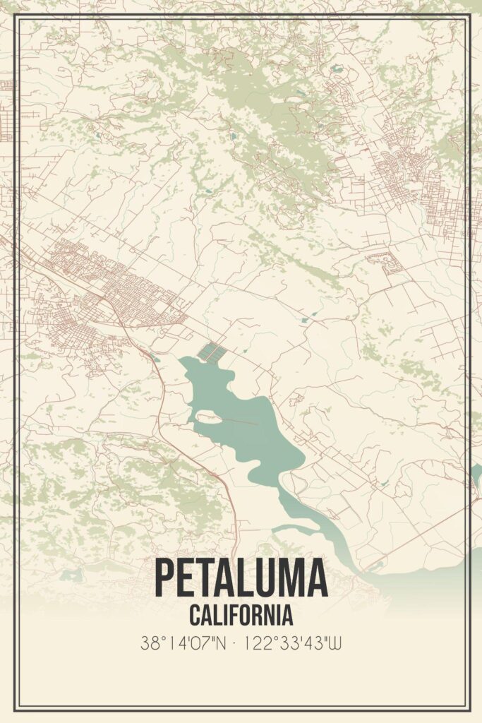 Tree Services in Petaluma, CA