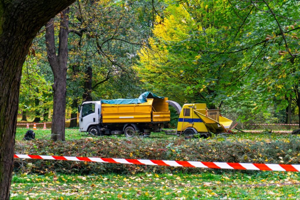 Emergency and hazardous tree.