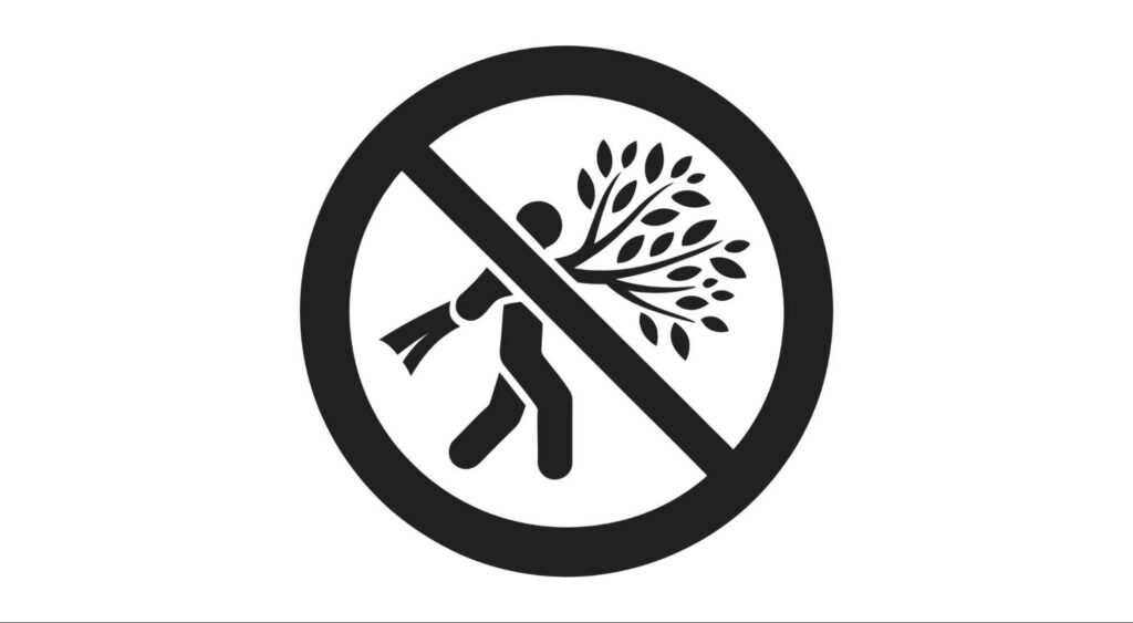 No tree cutting prohibition sign.